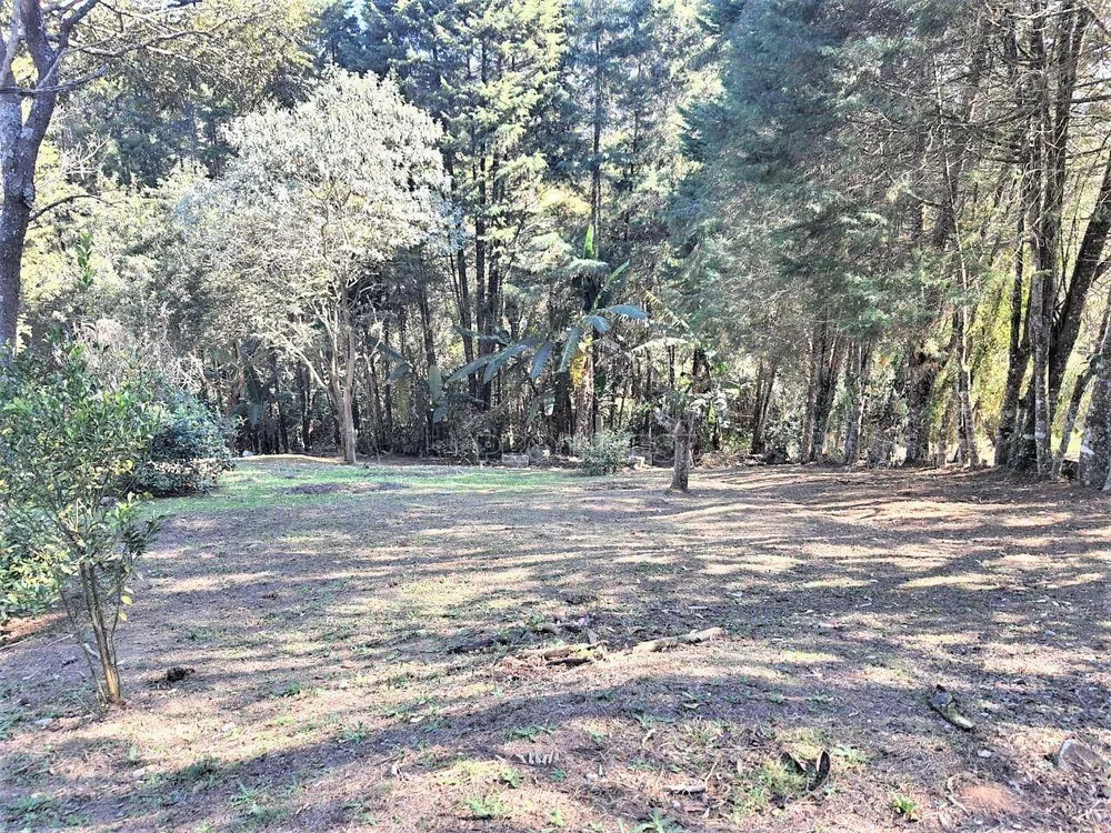 Chácara, 5 quartos, 4000 m² - Foto 8