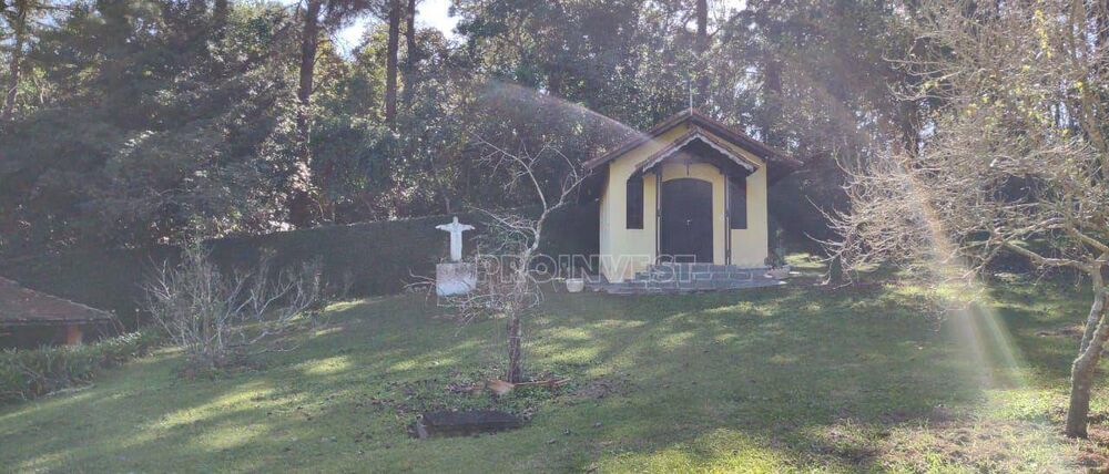 Sítio, 9 quartos, 3 hectares - Foto 11