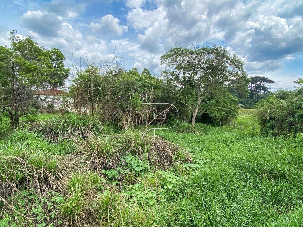 Terreno, 4175 m² - Foto 7