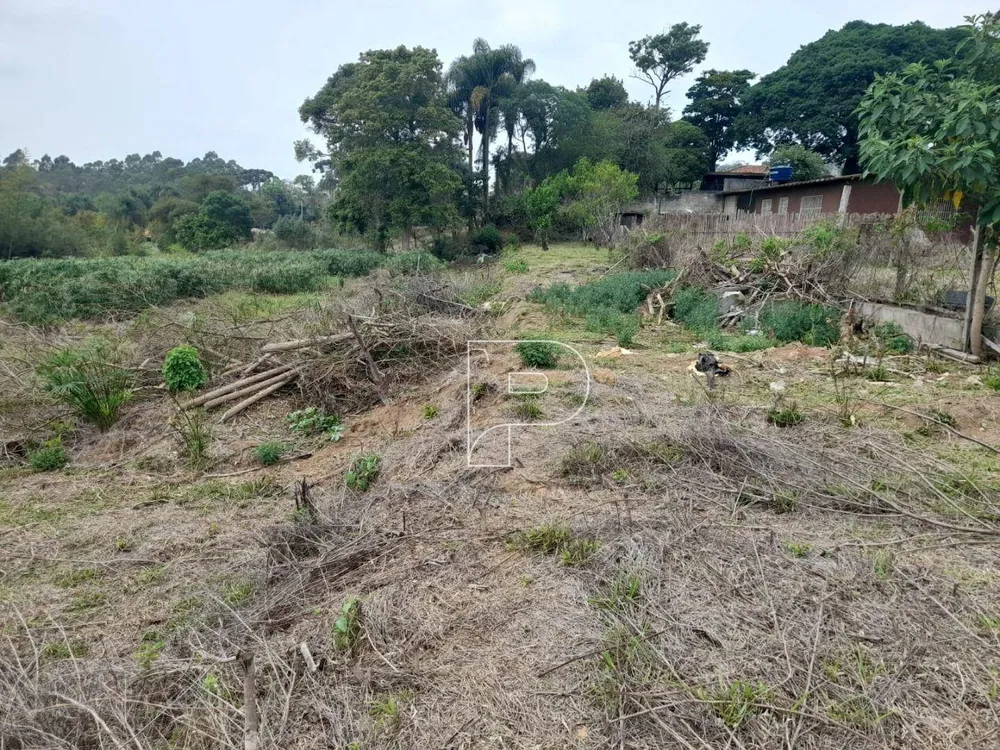 Terreno, 2459 m² - Foto 7