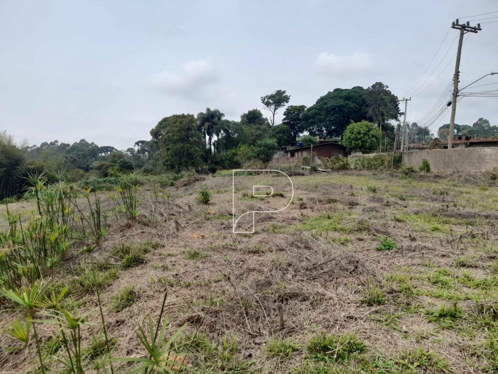 Terreno, 2459 m² - Foto 2