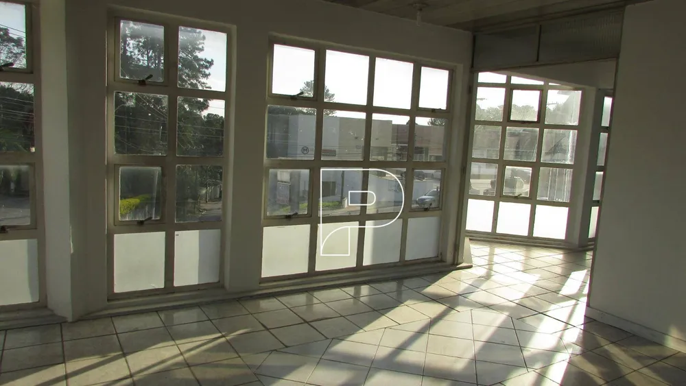 Terreno, 2600 m² - Foto 4