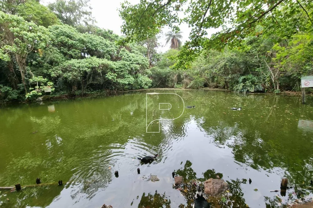 Terreno, 450 m² - Foto 12