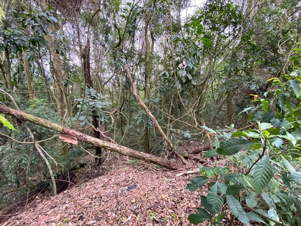 Loteamento e Condomínio, 381 m² - Foto 3
