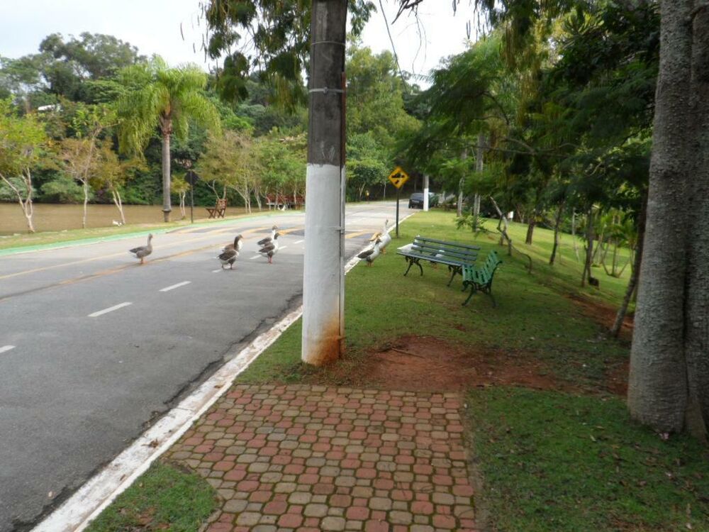 Loteamento e Condomínio, 381 m² - Foto 1