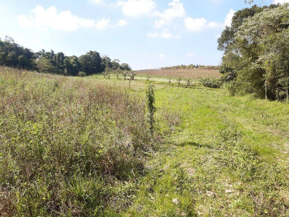 Terreno, 3 hectares - Foto 7