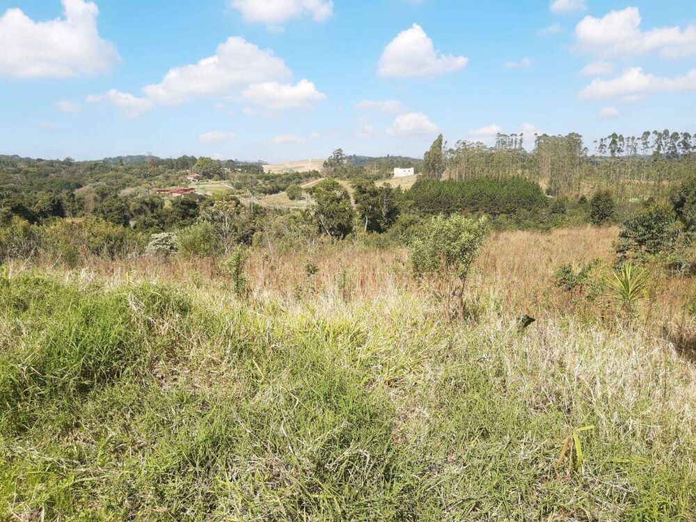 Terreno, 3 hectares - Foto 3