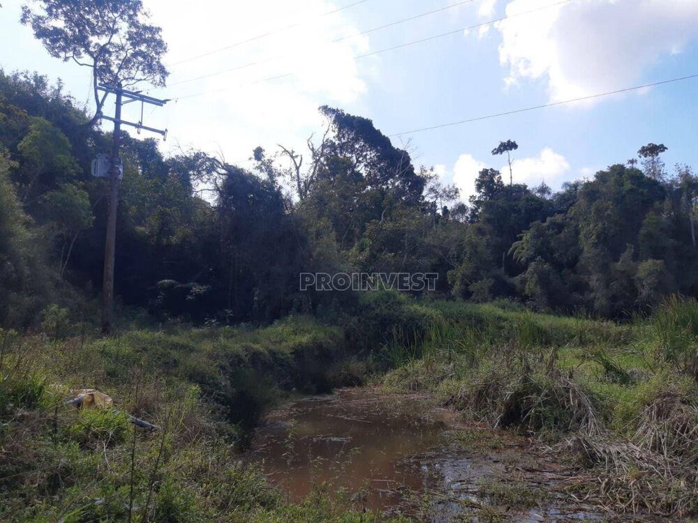 Terreno, 3 hectares - Foto 8