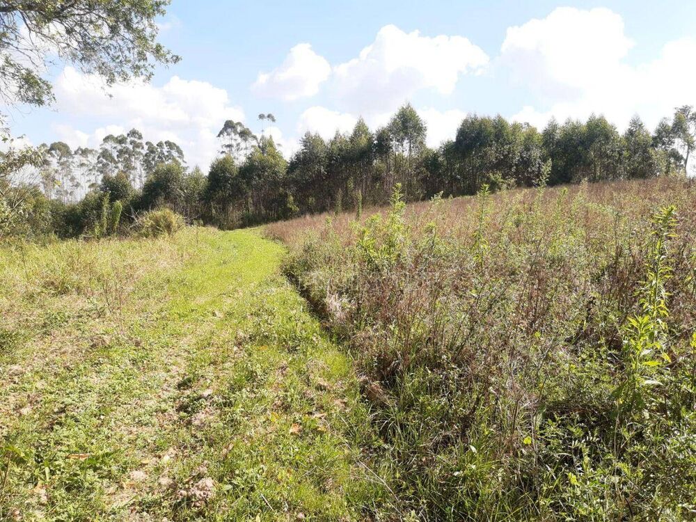 Terreno, 3 hectares - Foto 2