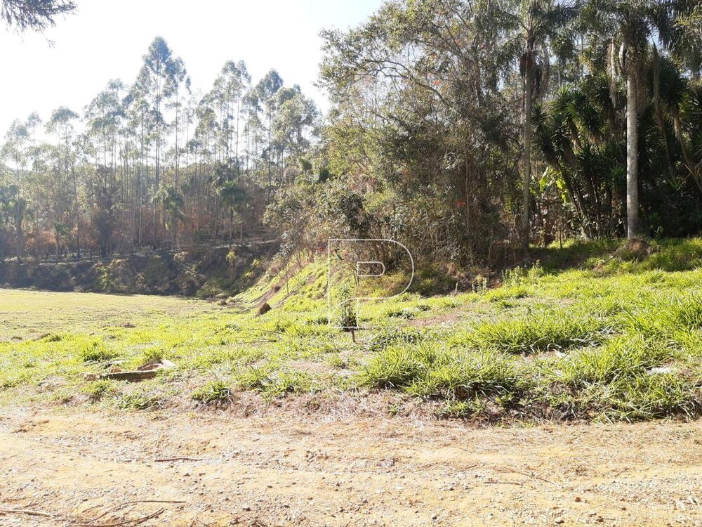 Terreno, 55 hectares - Foto 4