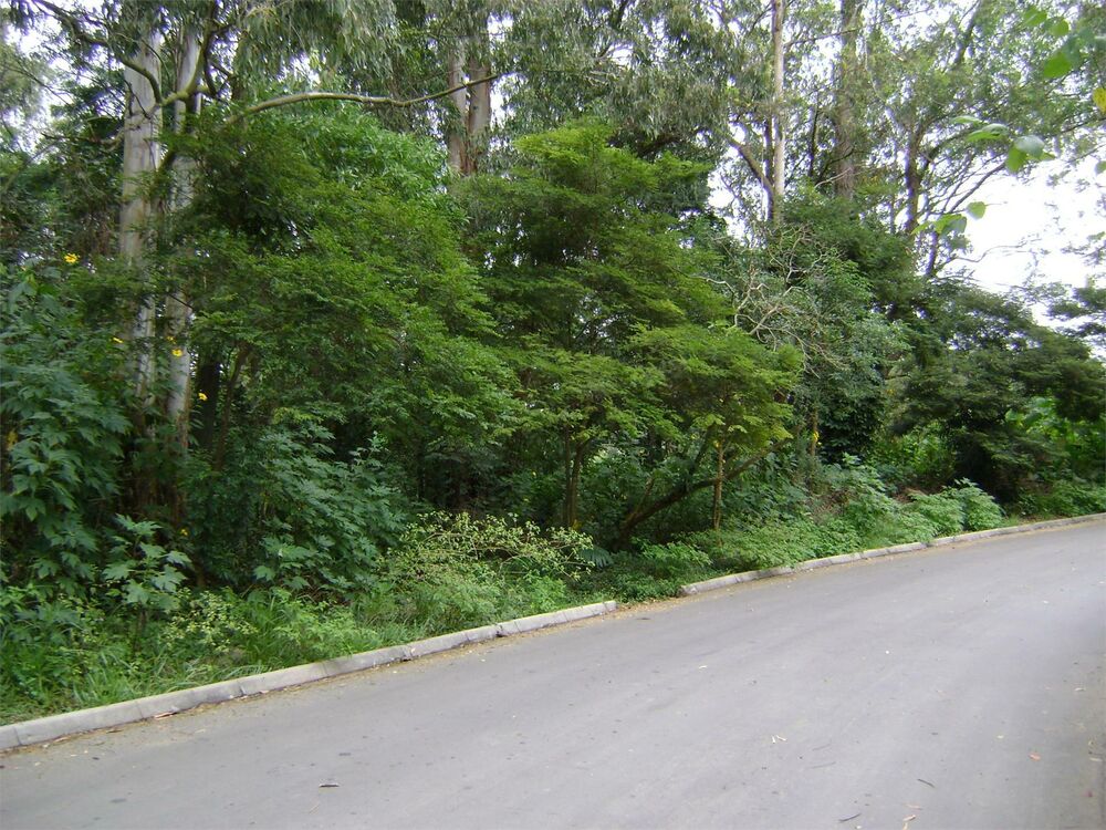 Loteamento e Condomínio, 2547 m² - Foto 3