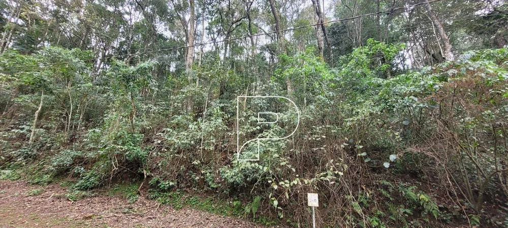 Loteamento e Condomínio, 2568 m² - Foto 6