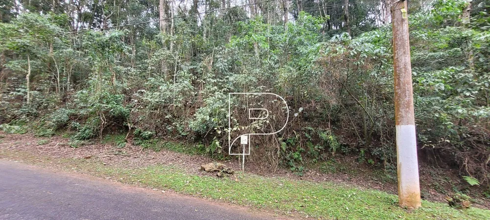 Loteamento e Condomínio, 2568 m² - Foto 8