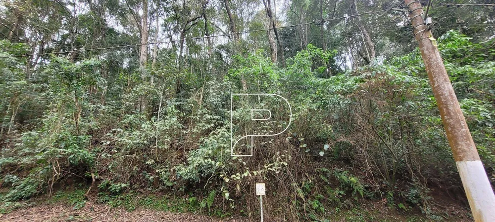 Loteamento e Condomínio, 2568 m² - Foto 5