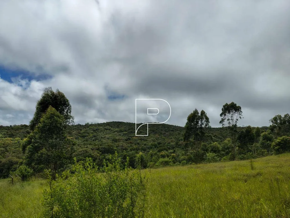 Terreno, 27 hectares - Foto 3