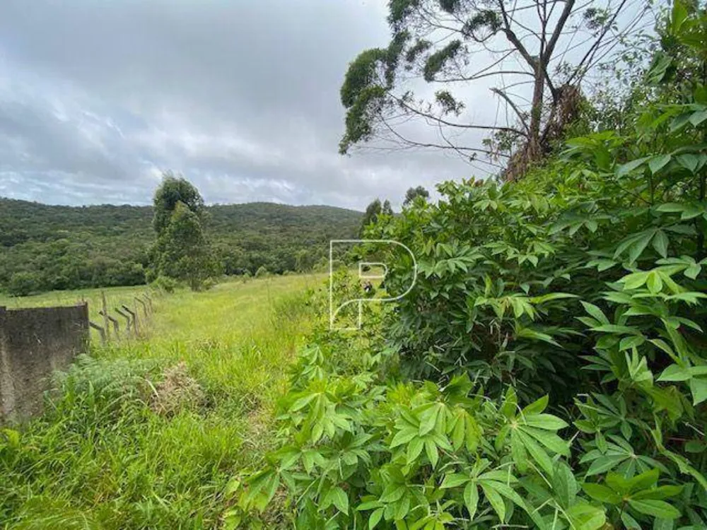 Terreno, 27 hectares - Foto 4