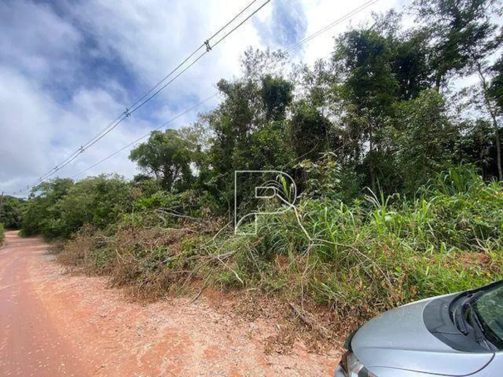 Terreno, 27 hectares - Foto 5