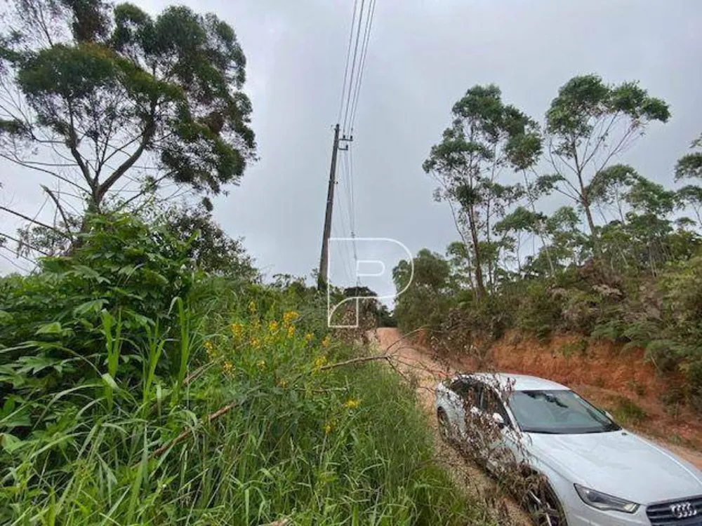 Terreno, 27 hectares - Foto 3