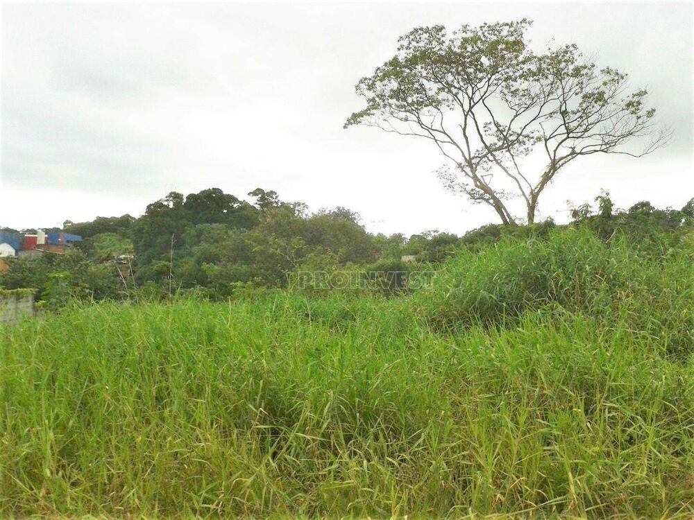 Loteamento e Condomínio, 2480 m² - Foto 3