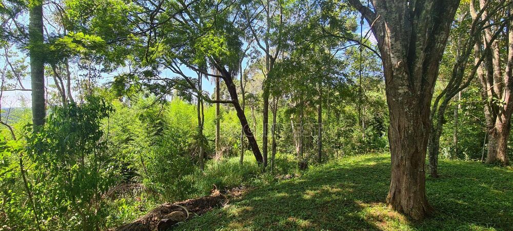 Terreno, 2 hectares - Foto 1