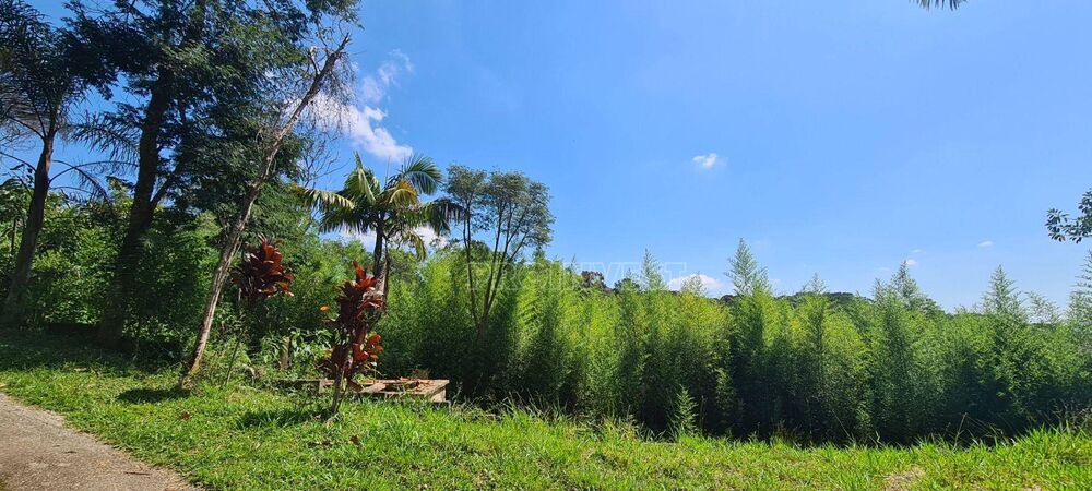 Terreno, 2 hectares - Foto 7