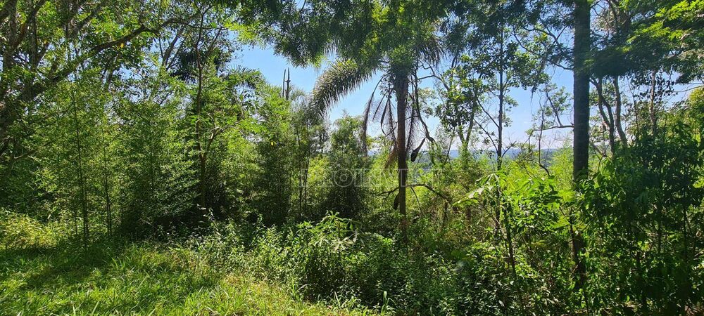 Terreno, 2 hectares - Foto 3