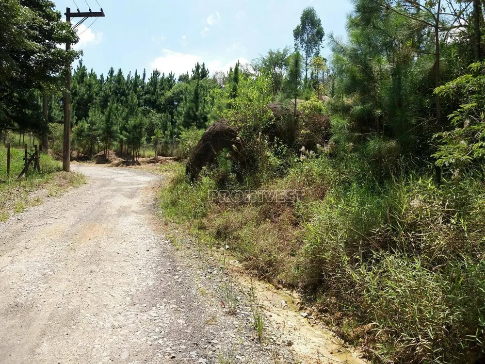 Terreno, 2 hectares - Foto 2
