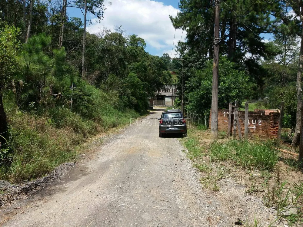 Terreno, 2 hectares - Foto 4