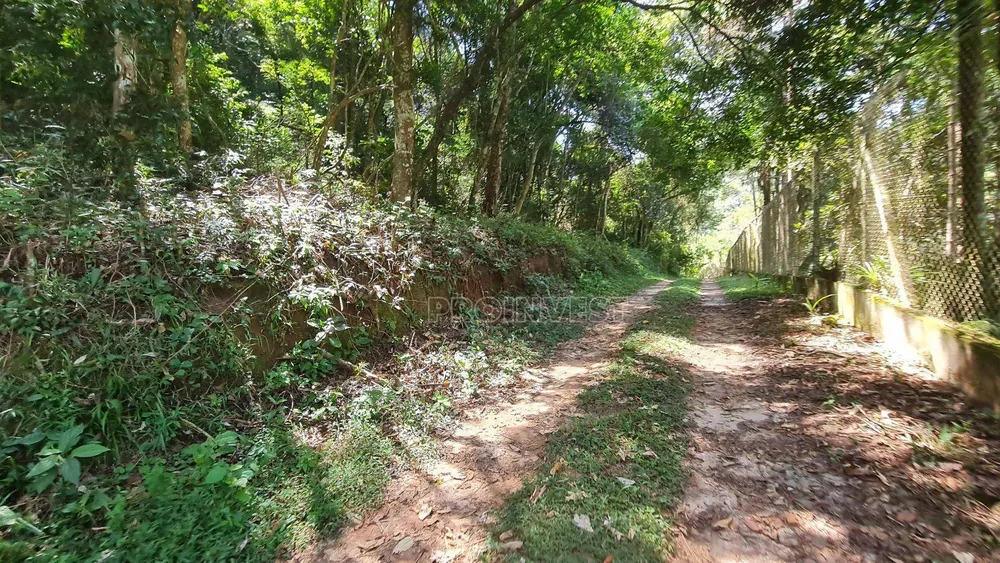 Terreno, 2 hectares - Foto 7