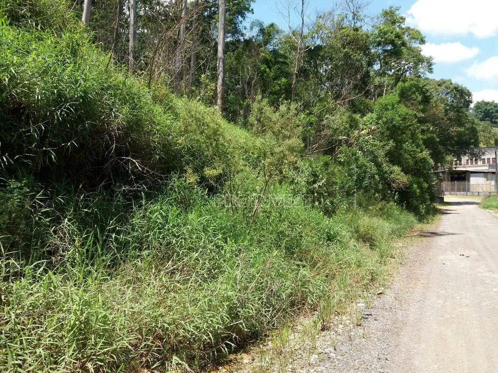 Terreno, 2 hectares - Foto 3