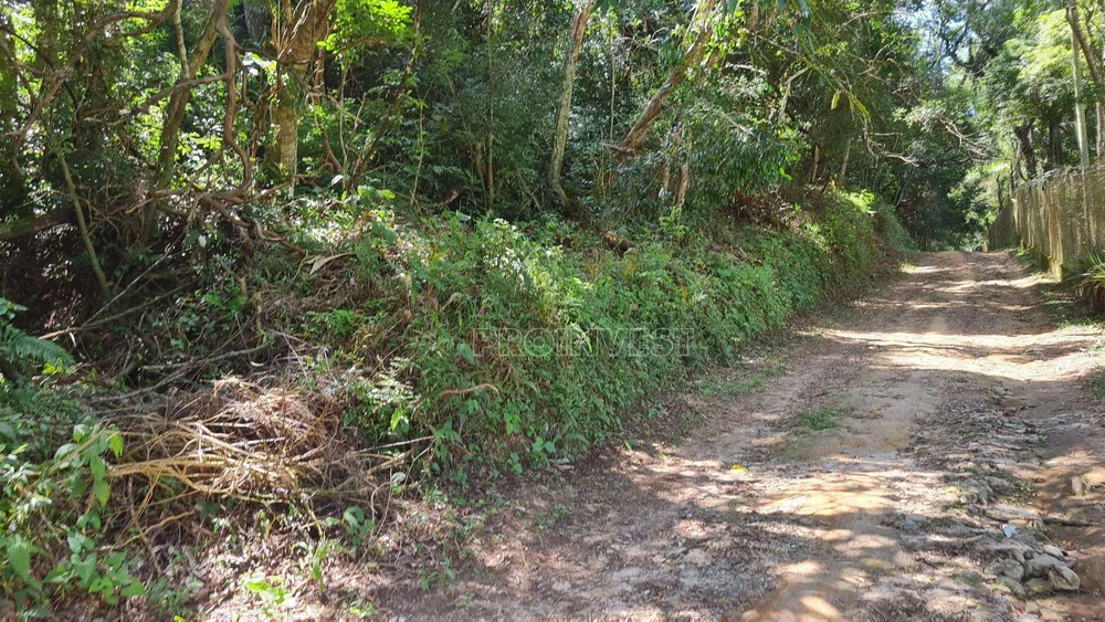 Terreno, 2 hectares - Foto 6