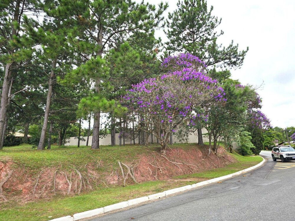 Loteamento e Condomínio, 1141 m² - Foto 6