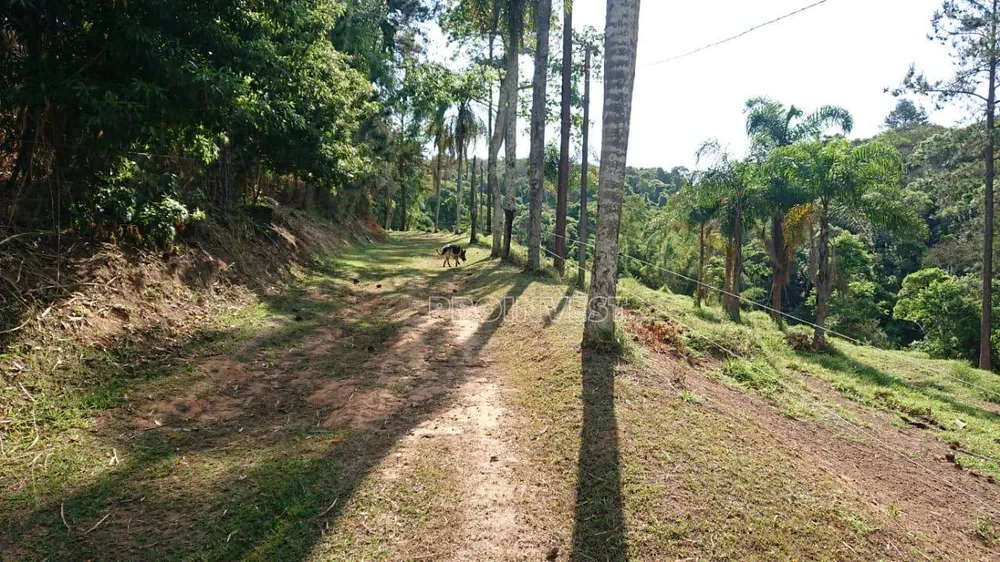 Terreno, 7 hectares - Foto 4