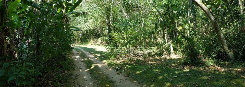 Terreno, 7 hectares - Foto 8