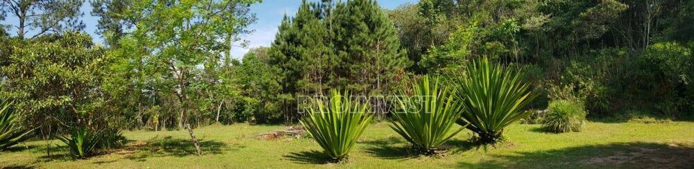 Terreno, 7 hectares - Foto 4