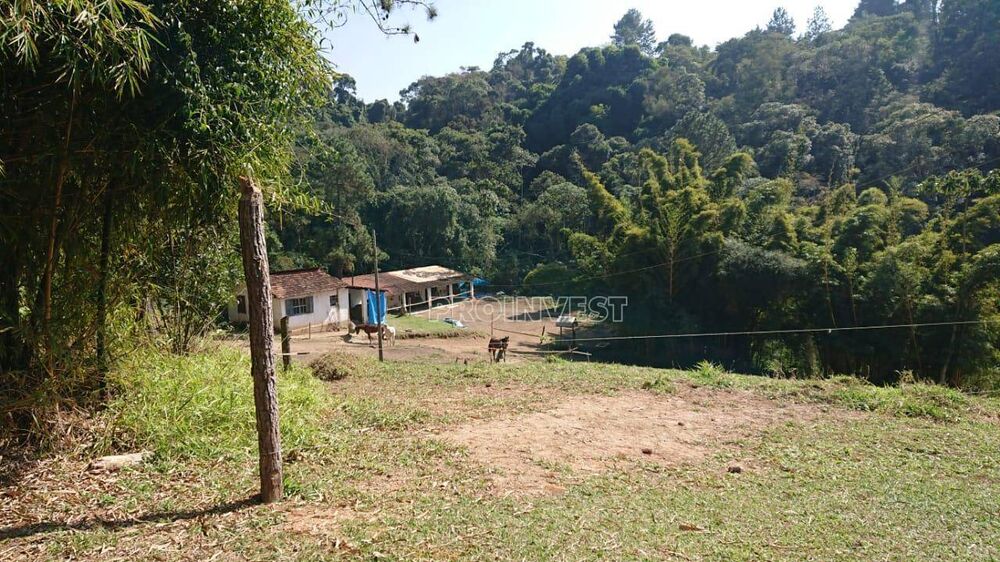 Terreno, 7 hectares - Foto 3