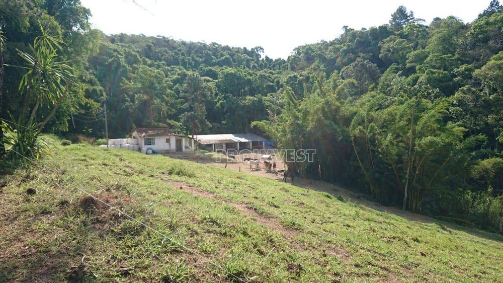 Terreno, 7 hectares - Foto 1