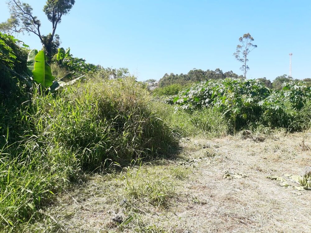 Terreno, 6740 m² - Foto 4