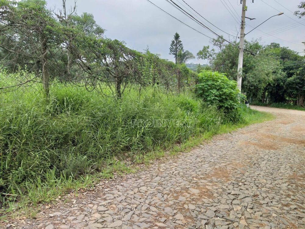 Loteamento e Condomínio, 5000 m² - Foto 3