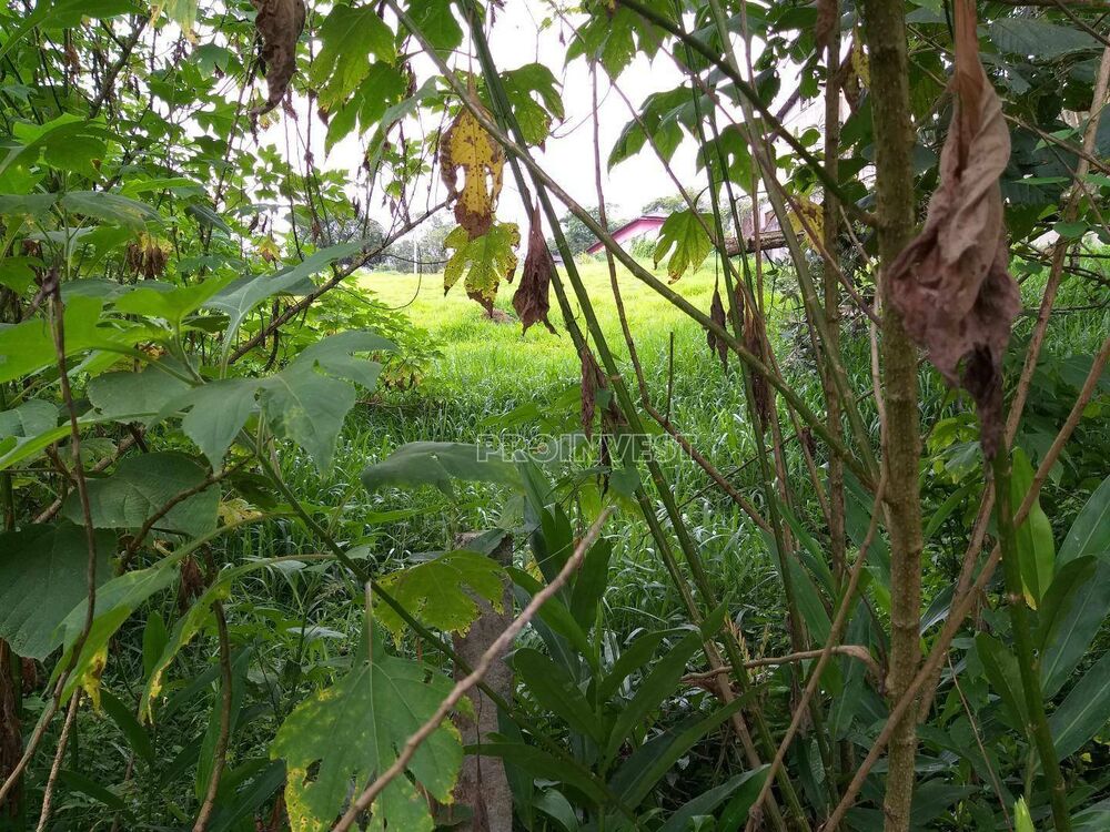 Loteamento e Condomínio, 5000 m² - Foto 7