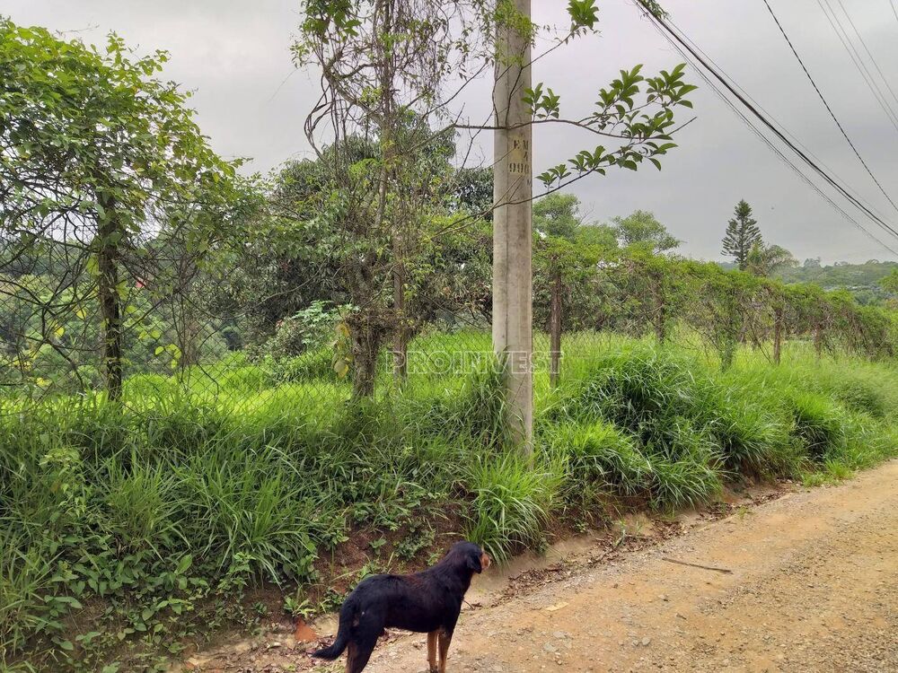 Loteamento e Condomínio, 5000 m² - Foto 2
