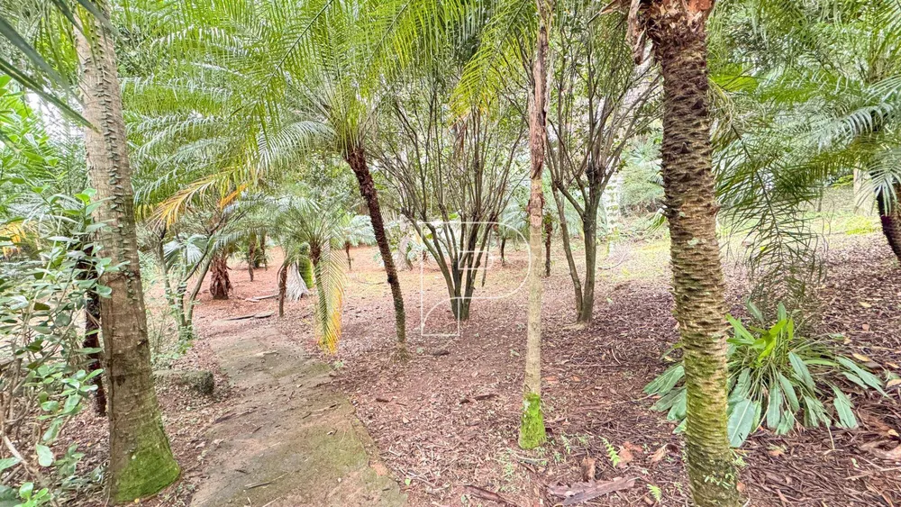 Loteamento e Condomínio, 1000 m² - Foto 6