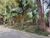 Terreno, 1145 m² - Foto 2