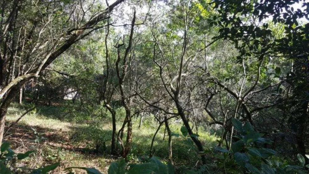 Loteamento e Condomínio, 2845 m² - Foto 1