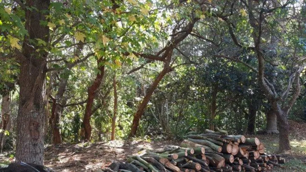Loteamento e Condomínio, 2845 m² - Foto 3
