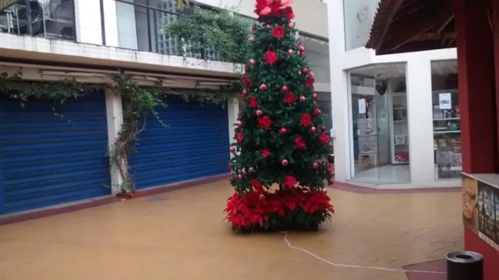 Loja-Salão, 21 m² - Foto 7