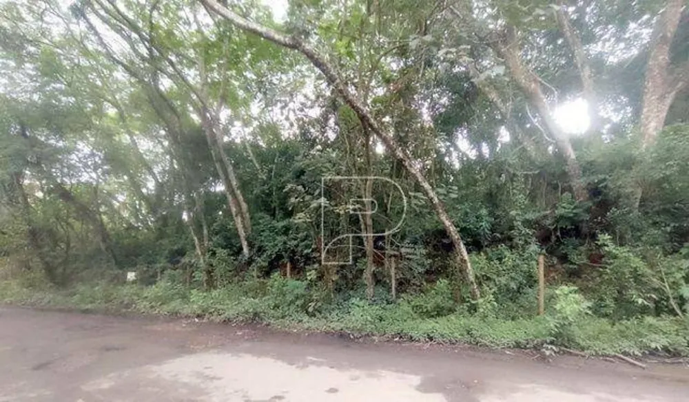 Loteamento e Condomínio, 2344 m² - Foto 7
