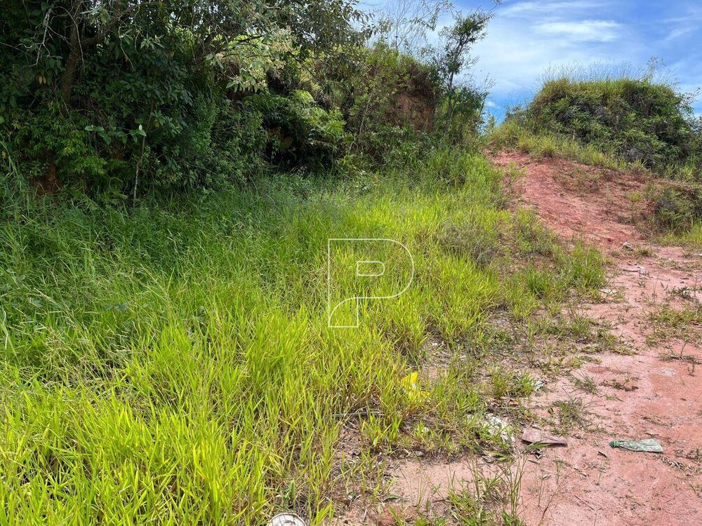 Terreno, 4622 m² - Foto 4