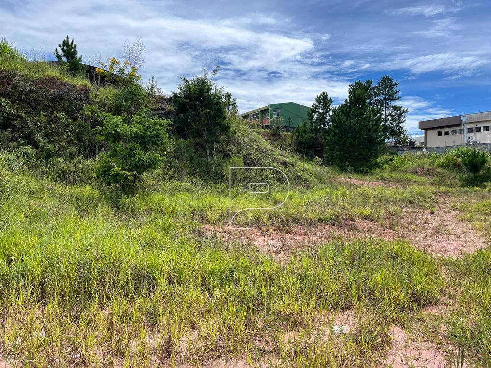 Terreno, 4622 m² - Foto 11