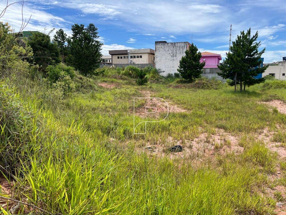 Terreno, 4622 m² - Foto 6